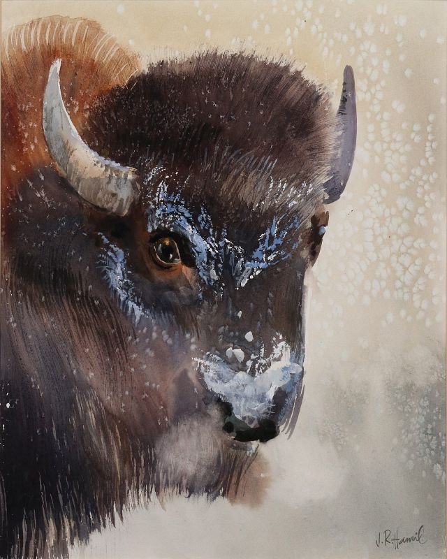 JAMES R. HAMIL (1937-) WATERCOLOR OF A BUFFALO