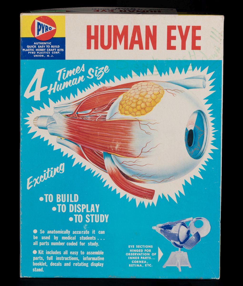 PYRO HUMAN EYE MODEL KIT, IN BOX