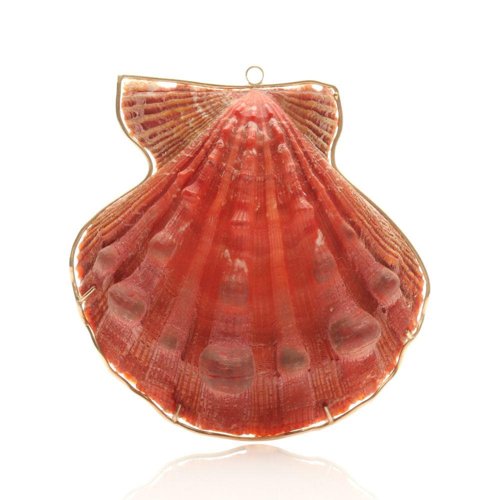 A RED SCALLOP SHELL PENDANT WITH 14K GOLD WIRE WRAP