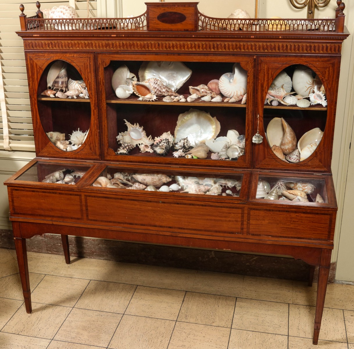 AN EDWARDIAN SPECIMEN CABINET WITH SEA SHELL COLLECTION