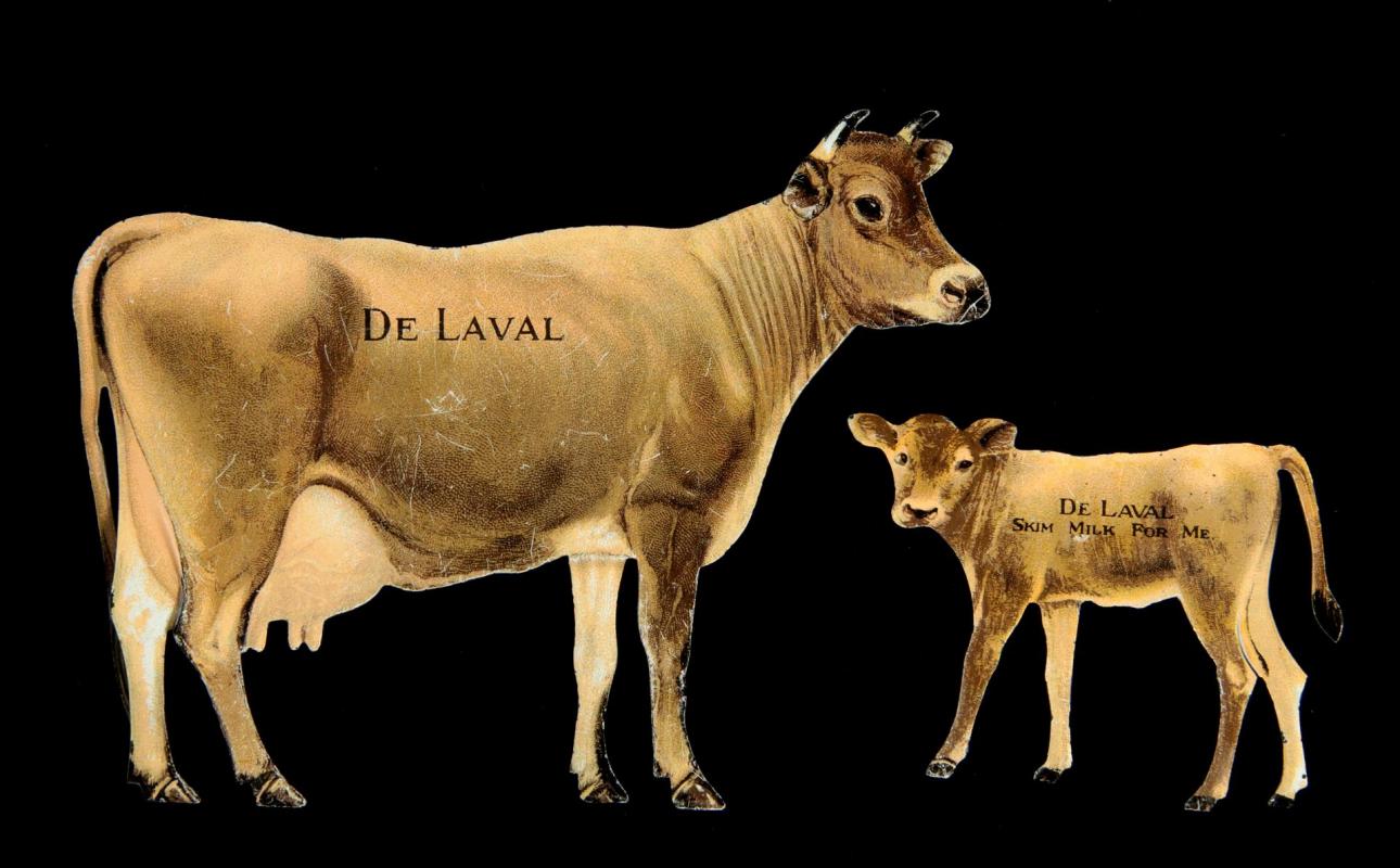 DE LAVAL CREAM SEPARATORS ADVERTISING COW PAIR