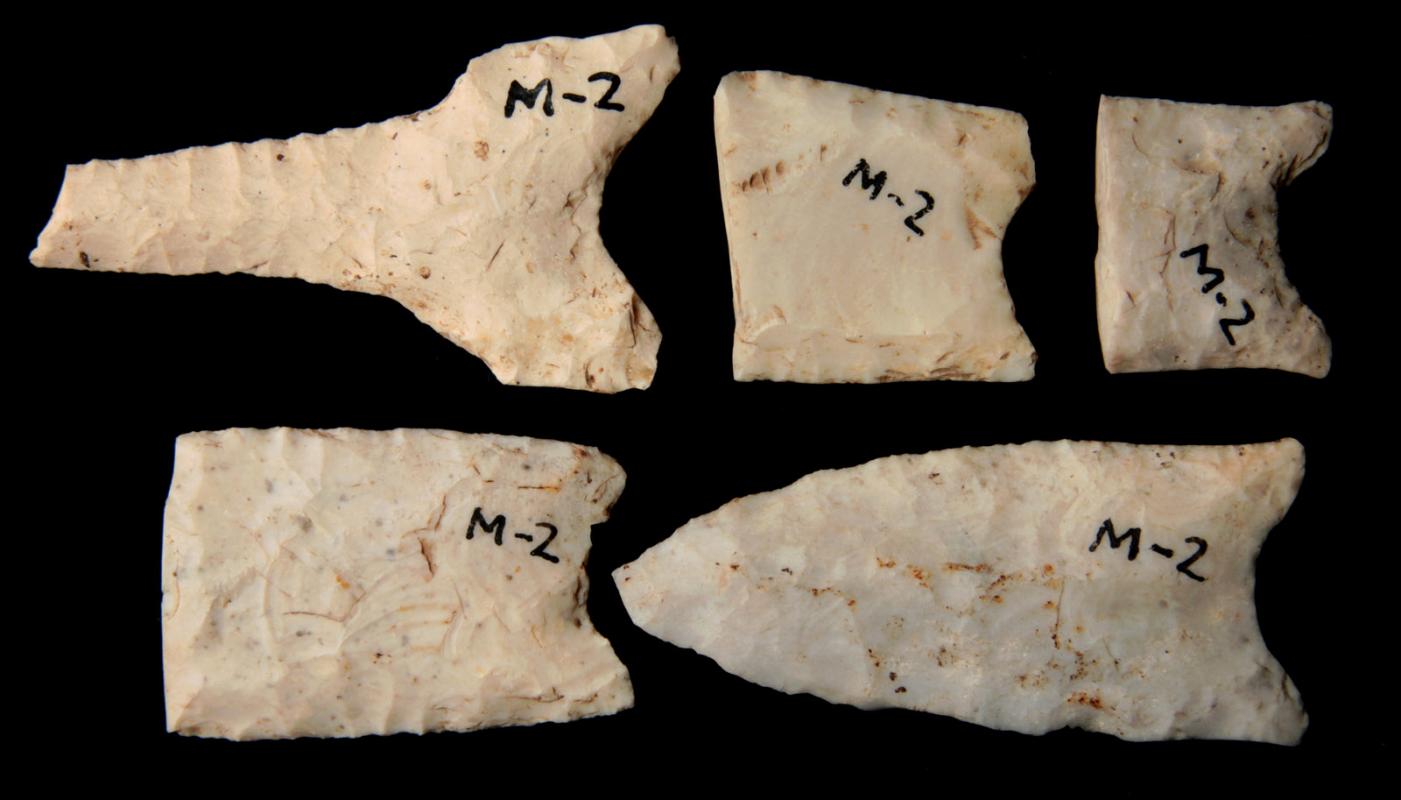 PALEO FLINT BLADES WITH DAMAGE. PICTURED CHAPMAN I