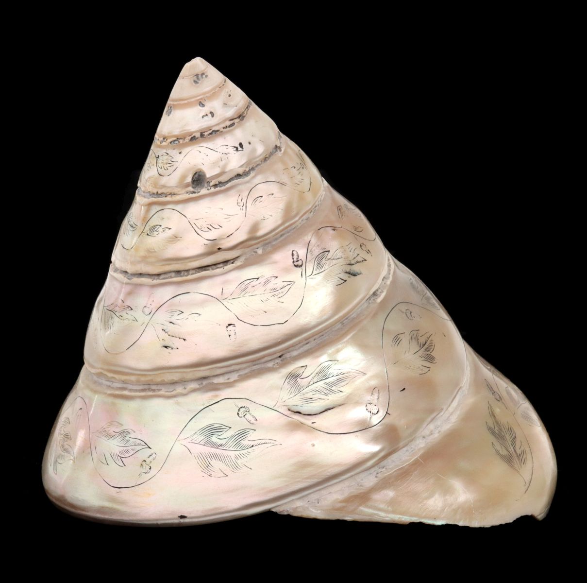 A PEARLESCENT CONCH-TYPE SHELL WITH ETCHED VERSE