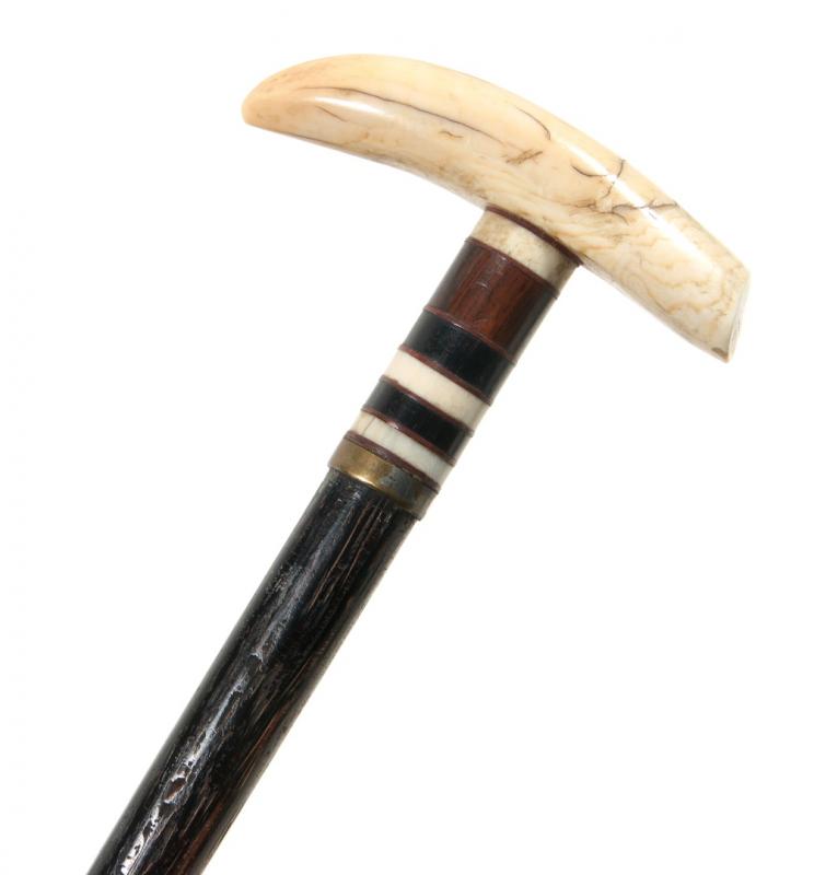 A 19TH CENTURY WALKING CANE WITH TOOTH AND BALEEN